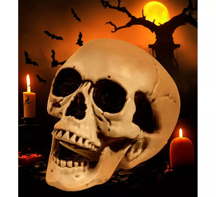 Translation missing: fr.Cráneo o Calavera con Mandíbula Móvil de 12 cm