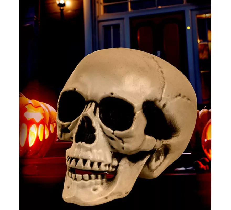 Translation missing: fr.Cráneo o Calavera con Mandíbula Móvil de 12 cm