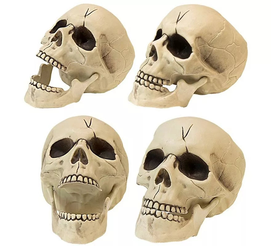 Translation missing: fr.Calavera con Mandíbula y Movimiento de Plástico de 21 cm