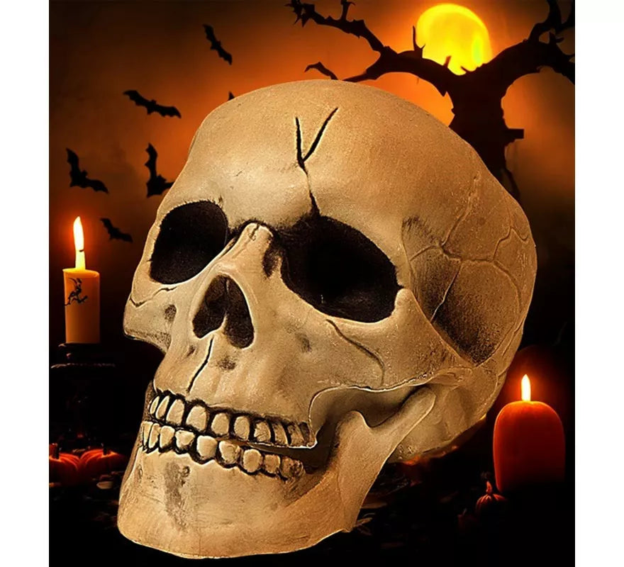 Translation missing: fr.Calavera con Mandíbula y Movimiento de Plástico de 21 cm