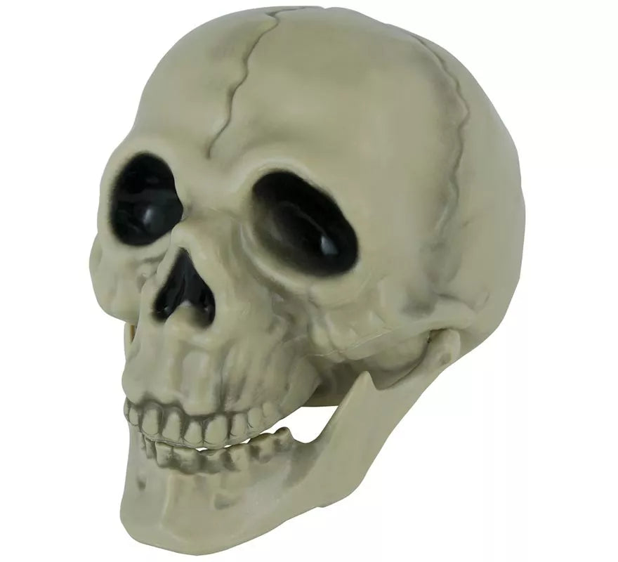 Translation missing: fr.Calavera de 13 cm