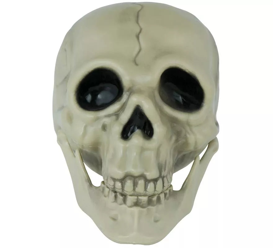 Translation missing: fr.Calavera de 13 cm