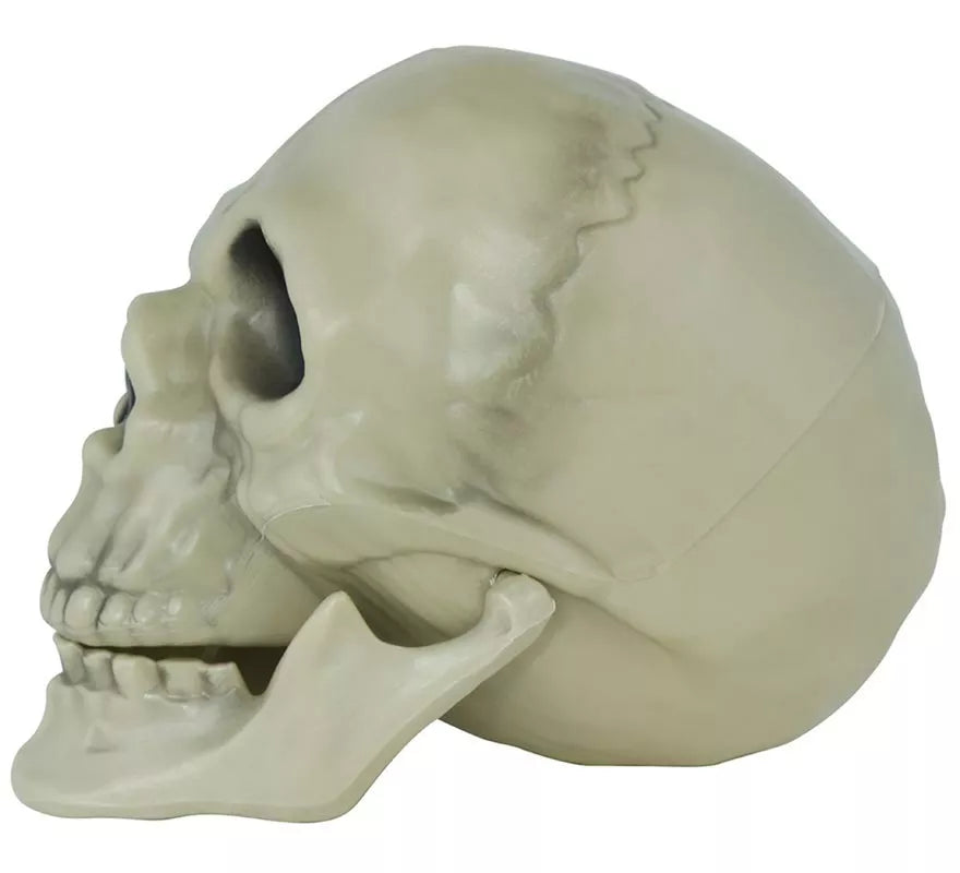 Translation missing: fr.Calavera de 13 cm