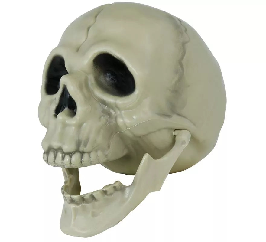 Translation missing: fr.Calavera de 13 cm