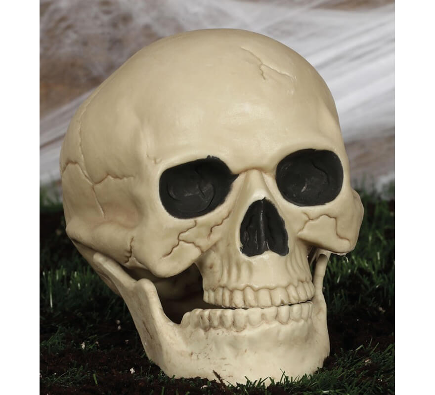 Translation missing: fr.Calavera de 20 Cm