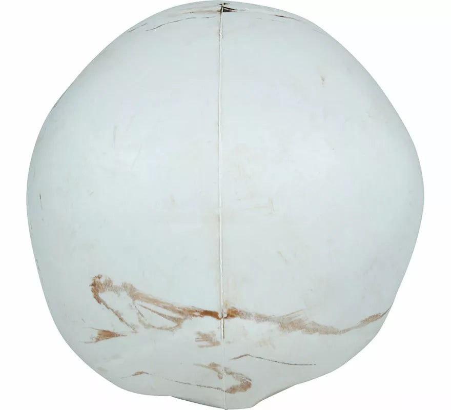 Calavera de 22 cm