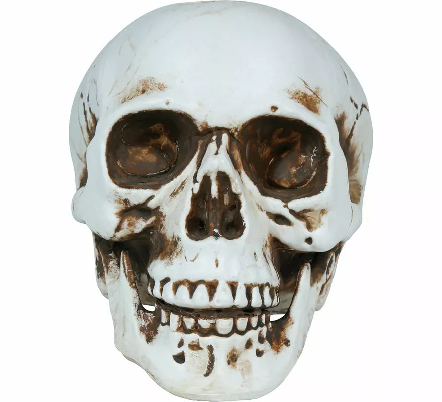 Translation missing: fr.Calavera de 22 cm
