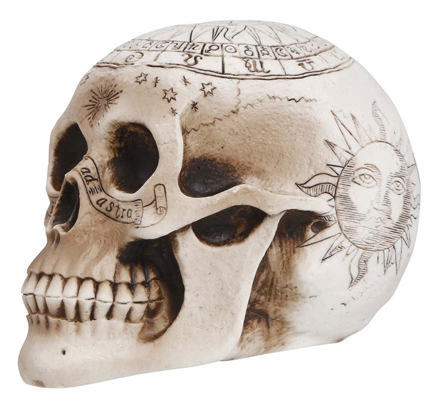 Translation missing: fr.Calavera de Espiritismo de 20 cm