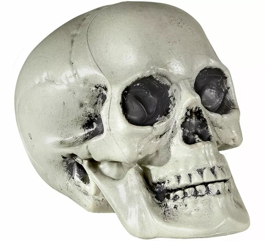 Translation missing: fr.Calavera de PVC de 21 cm