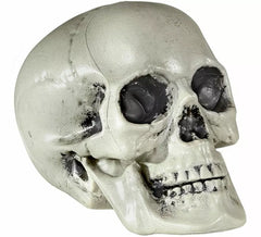 Crâne en PVC de 21 cm