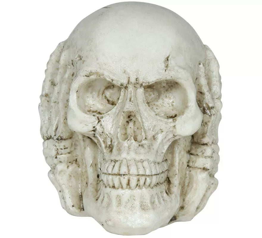 Translation missing: fr.Calavera de Resina de 6 cm