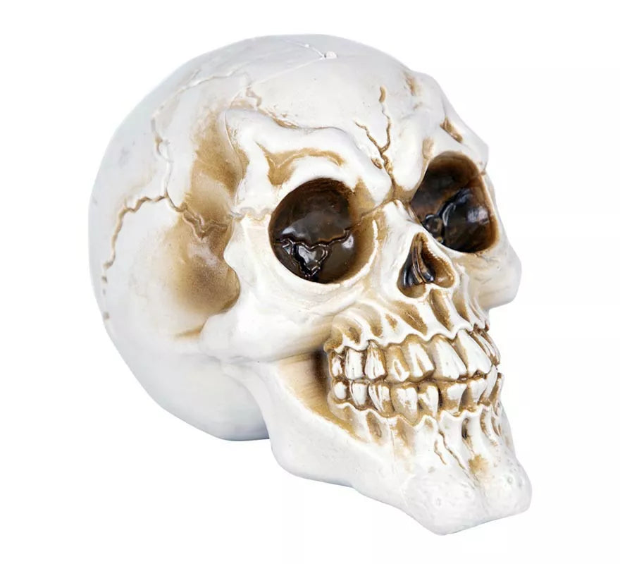 Translation missing: fr.Calavera Desgastada feliz de 11,50x17x12,50 cm