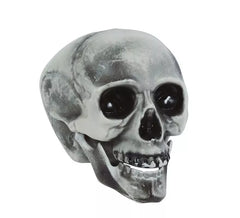 crâne PVC 20 cm de