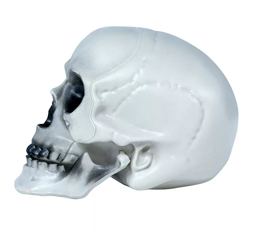 Translation missing: fr.Calavera PVC 20 cms