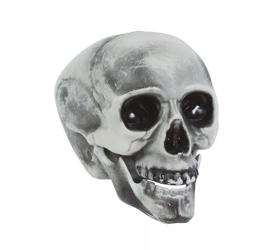 Translation missing: fr.Calavera PVC 20 cms
