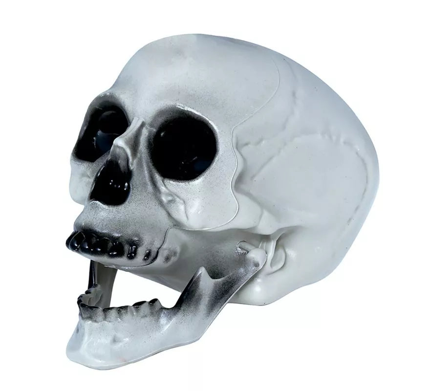 Translation missing: fr.Calavera PVC 20 cms