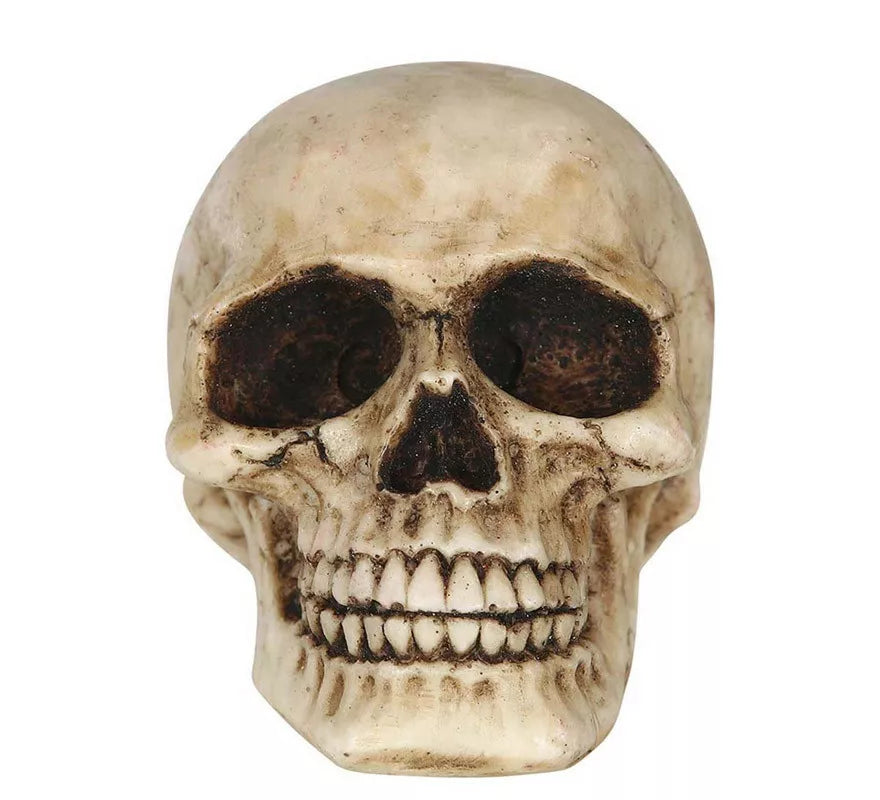 Translation missing: fr.Calavera Resina de 8 cm
