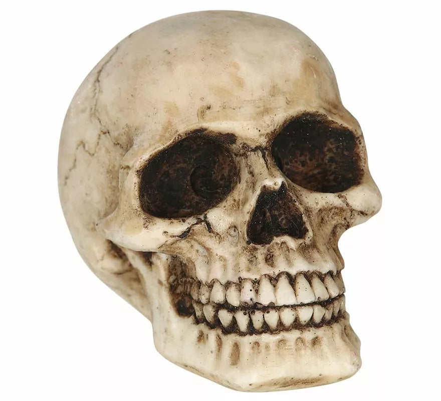 Translation missing: fr.Calavera Resina de 8 cm