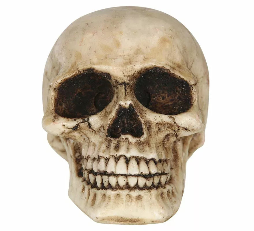 Translation missing: fr.Calavera Resina de 8 cm