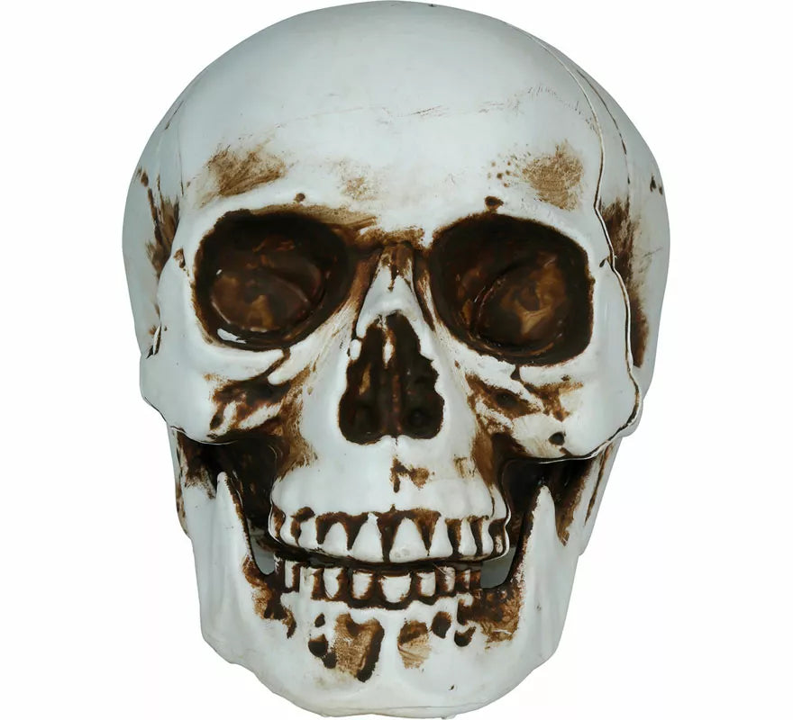 Translation missing: fr.Calavera Sombras de 20 cm