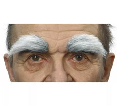 Sourcils Fournis et Grisonnants