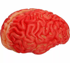 Cerveau ensanglanté