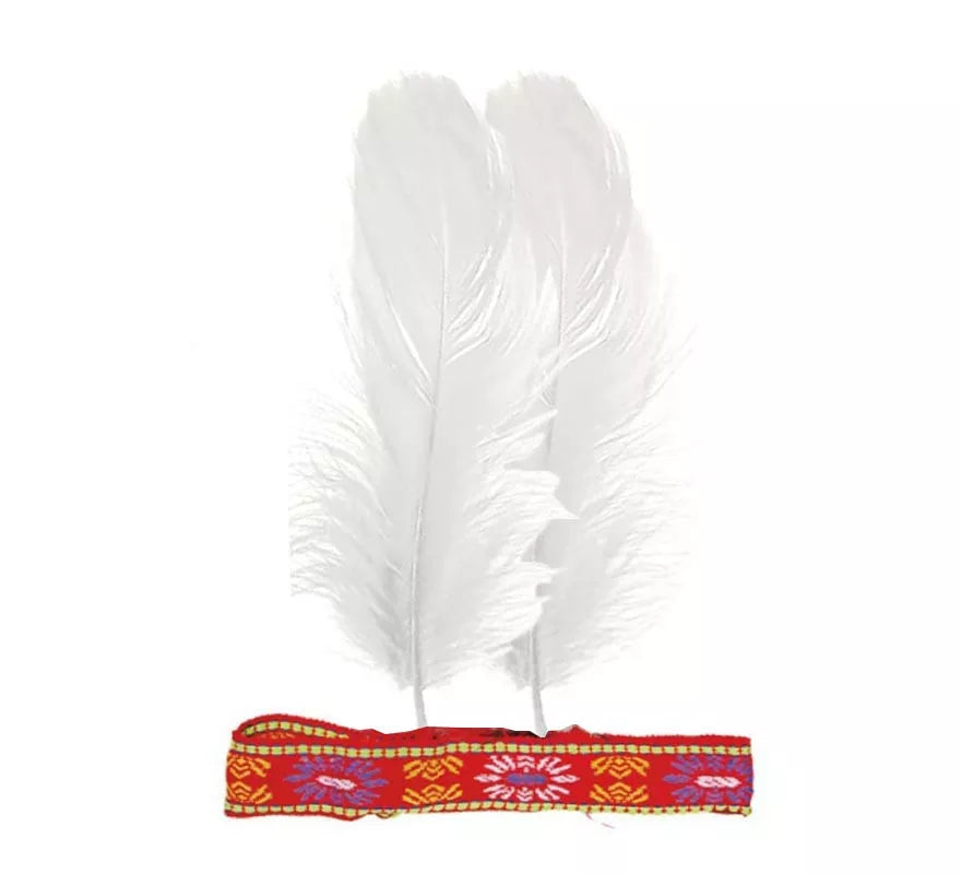 Translation missing: fr.Cinta de Plumas colores surtidos para India
