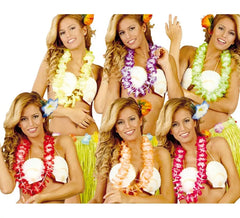 Collier Hawaïen plusieurs Coloris