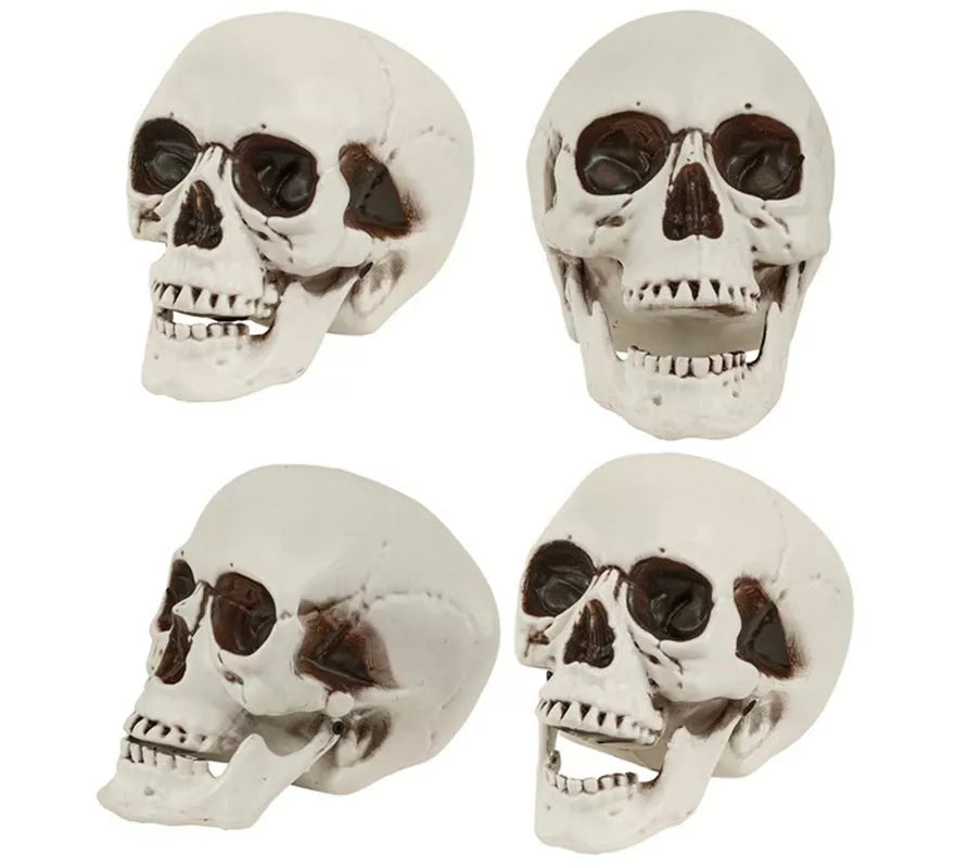 Translation missing: fr.Cráneo o Calavera con Mandíbula Móvil de 12 cm