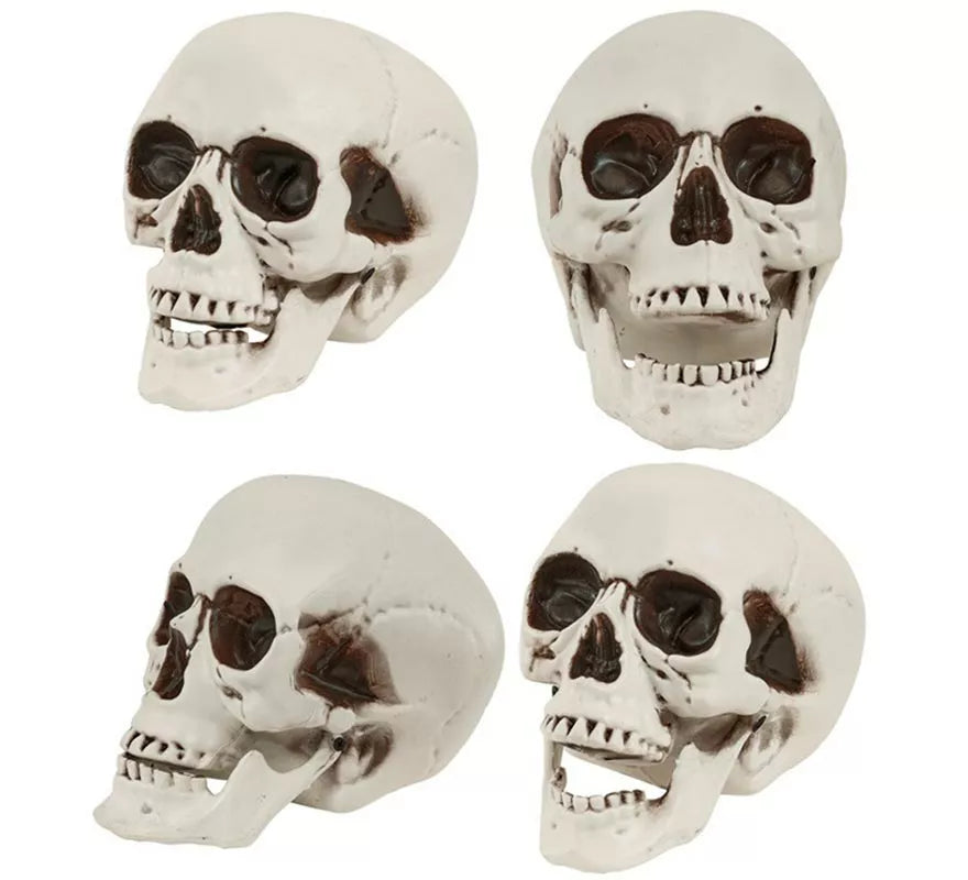 Translation missing: fr.Cráneo o Calavera con Mandíbula Móvil de 28 cm