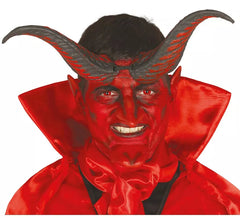 Cornes de Démon ou Diable 20 cm