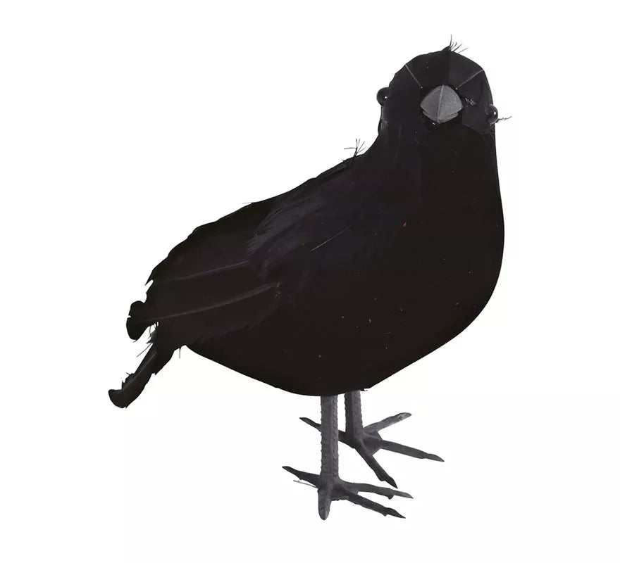 Translation missing: es.Cuervo Negro 25 cm