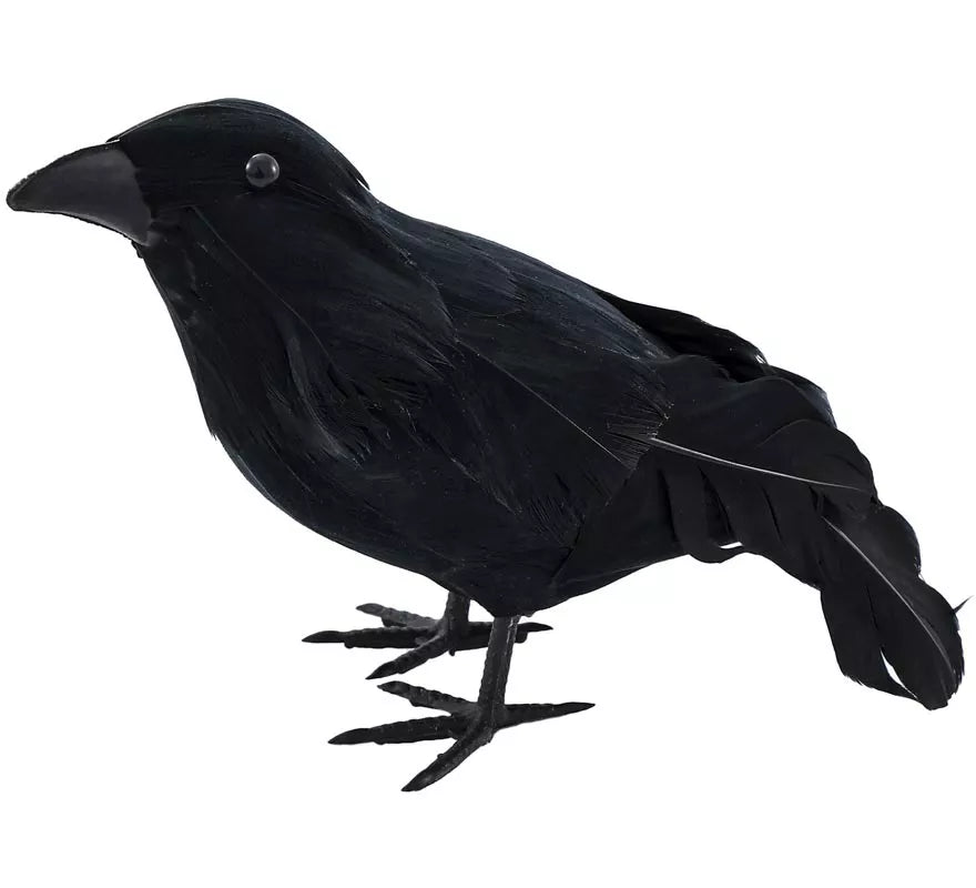 Translation missing: fr.Cuervo negro con Plumas de 20,5x6x11 cm