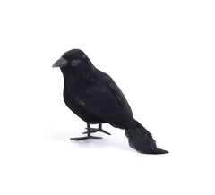 Corbeau longues plumes noires 14 cm