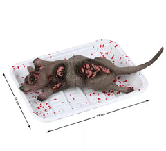 décoration morte Rat