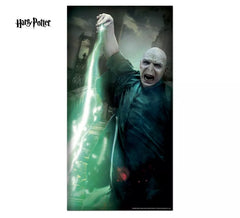 Décoration de porte Harry Potter Lord Voldemort