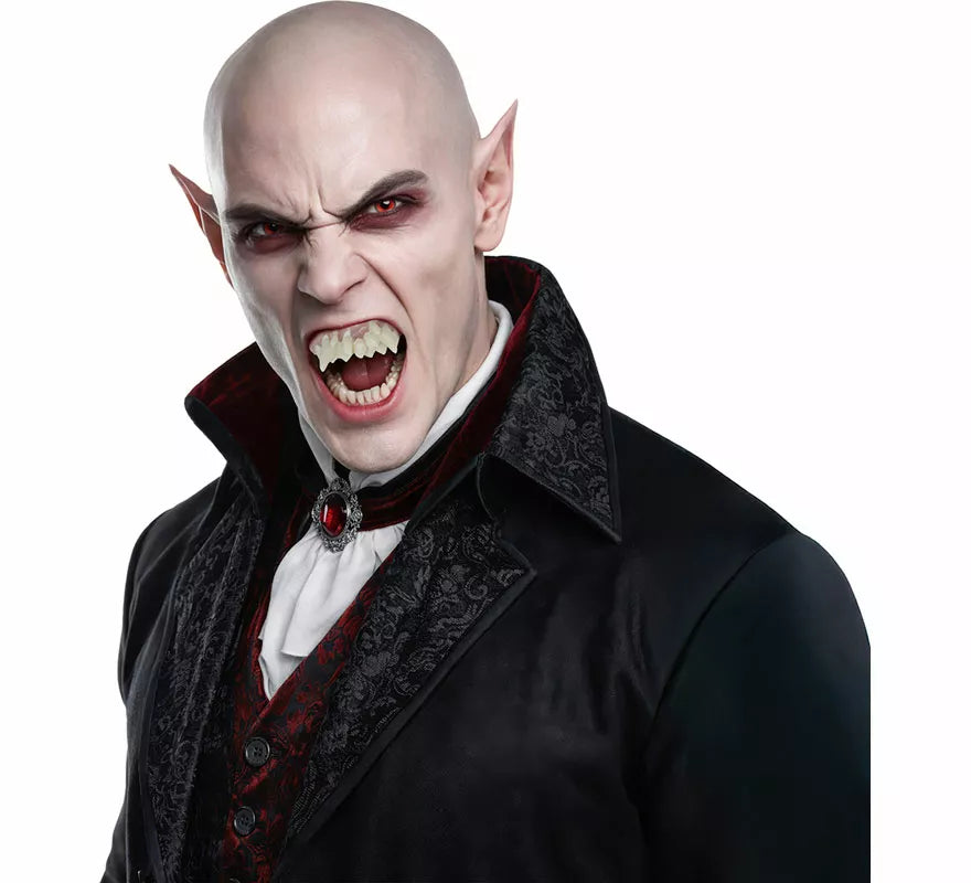 Translation missing: fr.Dentadura de Nosferatu con Resina Termoplástica