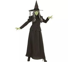 Costume de sorcière de conte de fées pour femme