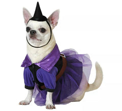 Déguisement de sorcière violette avec chapeau pour chien