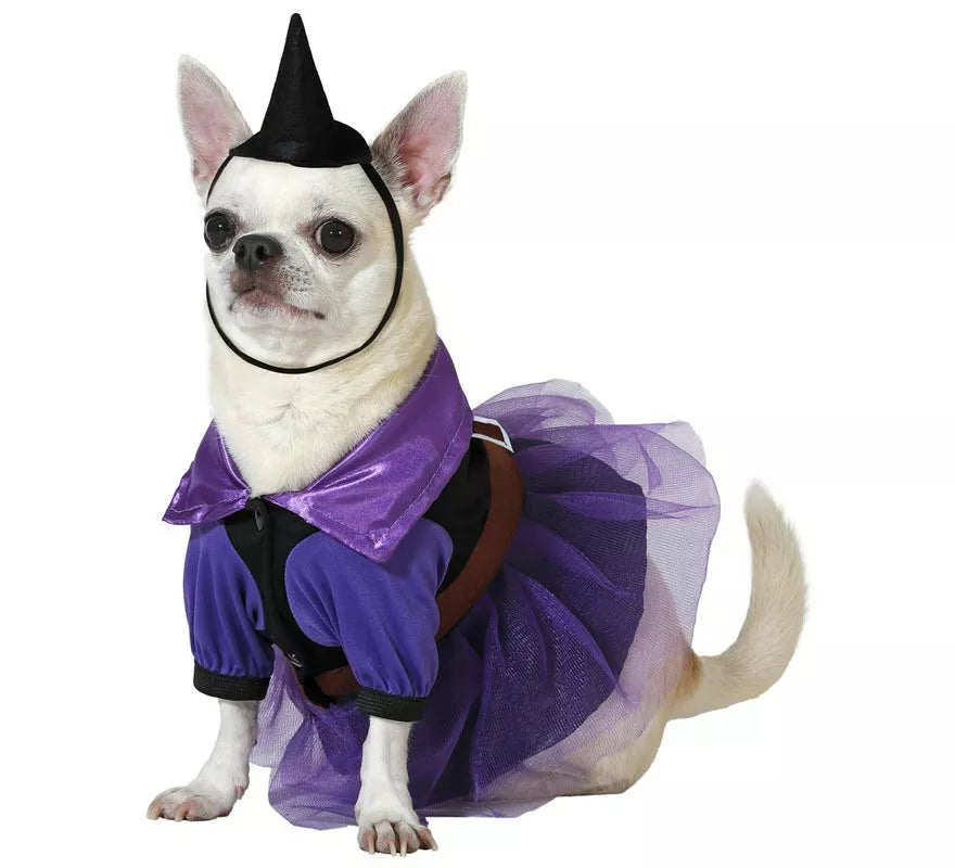 Translation missing: fr.Disfraz de Bruja morada con sombrero para perro
