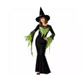 Disfraz de Bruja Verde Elegante para mujer