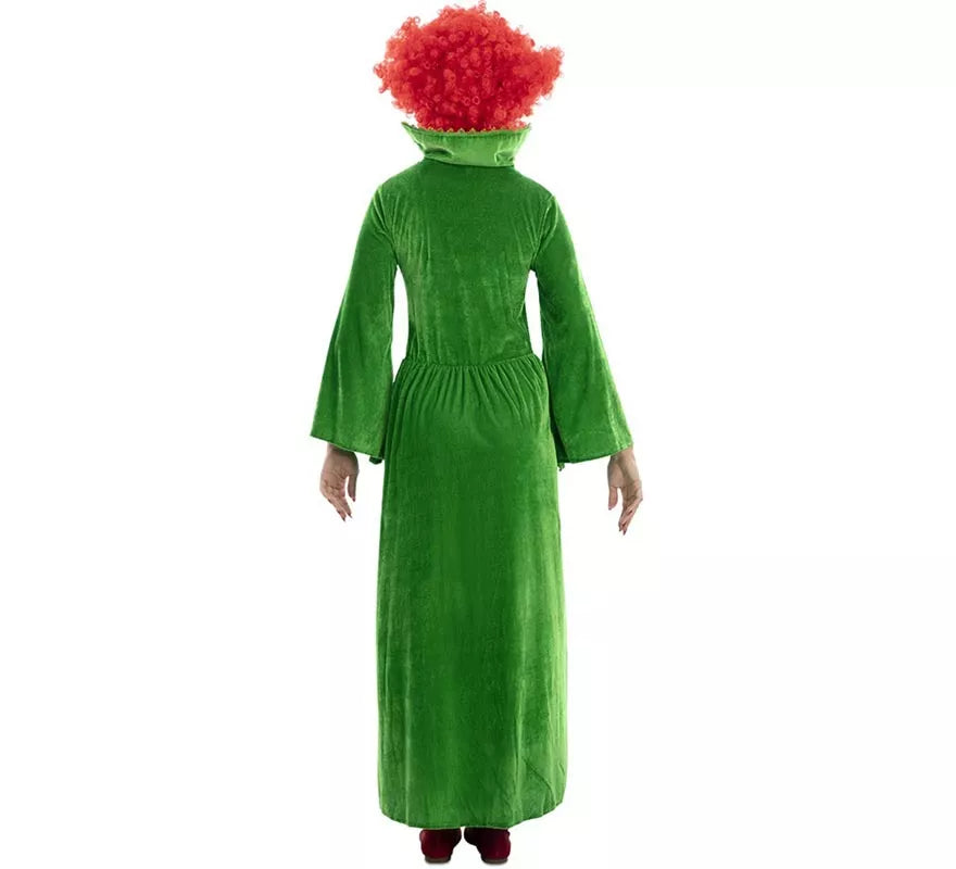 Translation missing: fr.Disfraz de Bruja verde para mujer