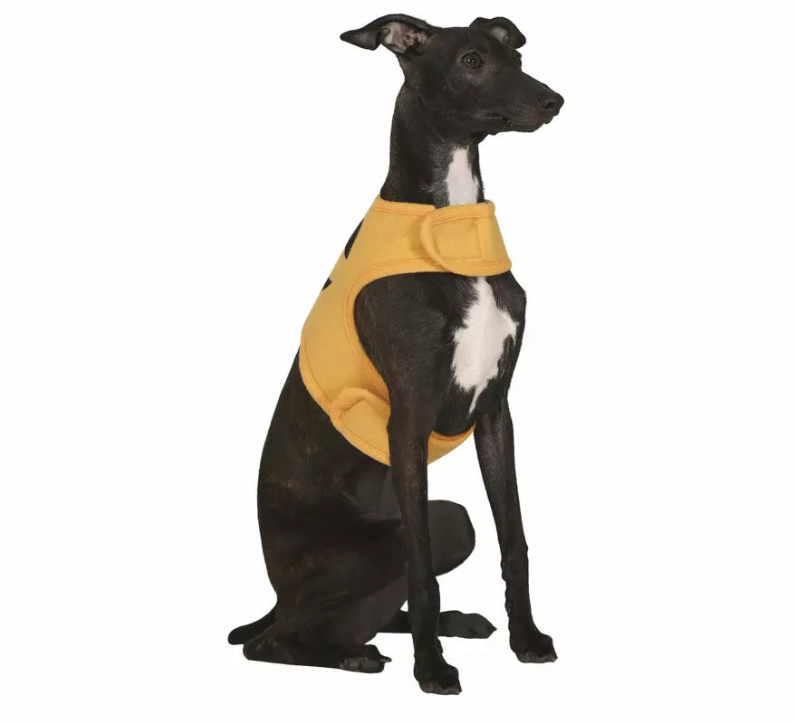 Translation missing: fr.Disfraz de Calabaza Halloween para perro