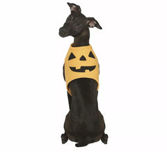 Costume d'animal de compagnie de citrouille d'Halloween