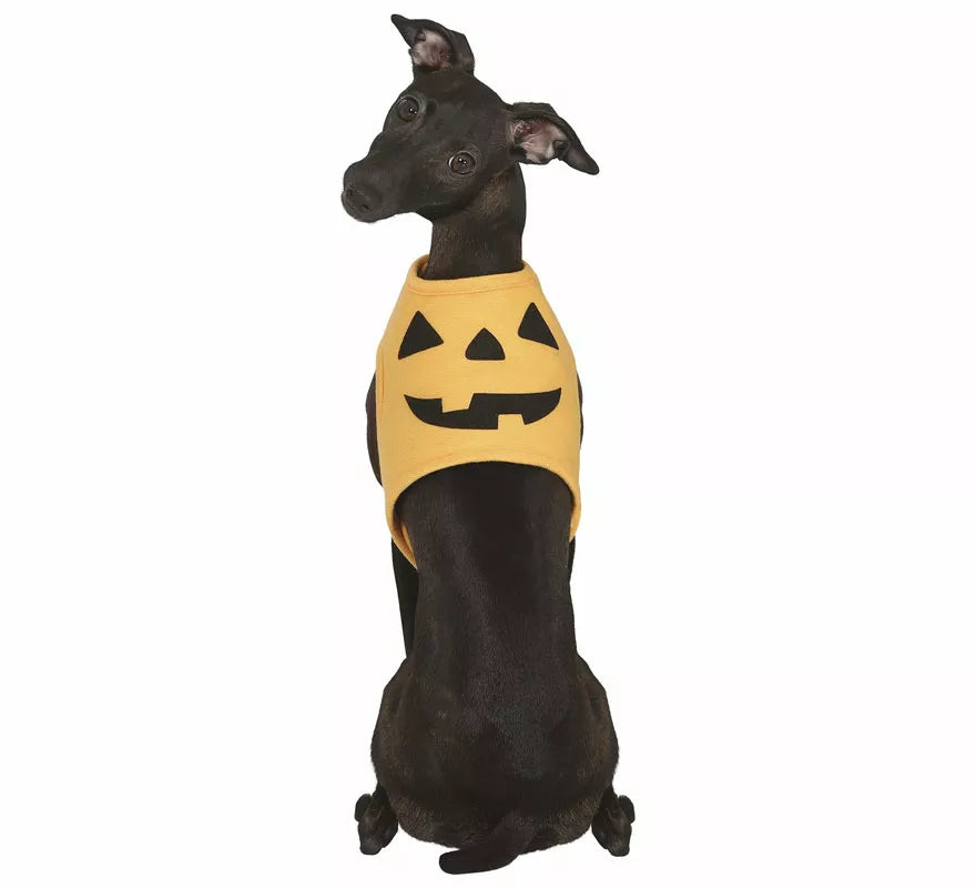 Disfraz de Calabaza Halloween para perro