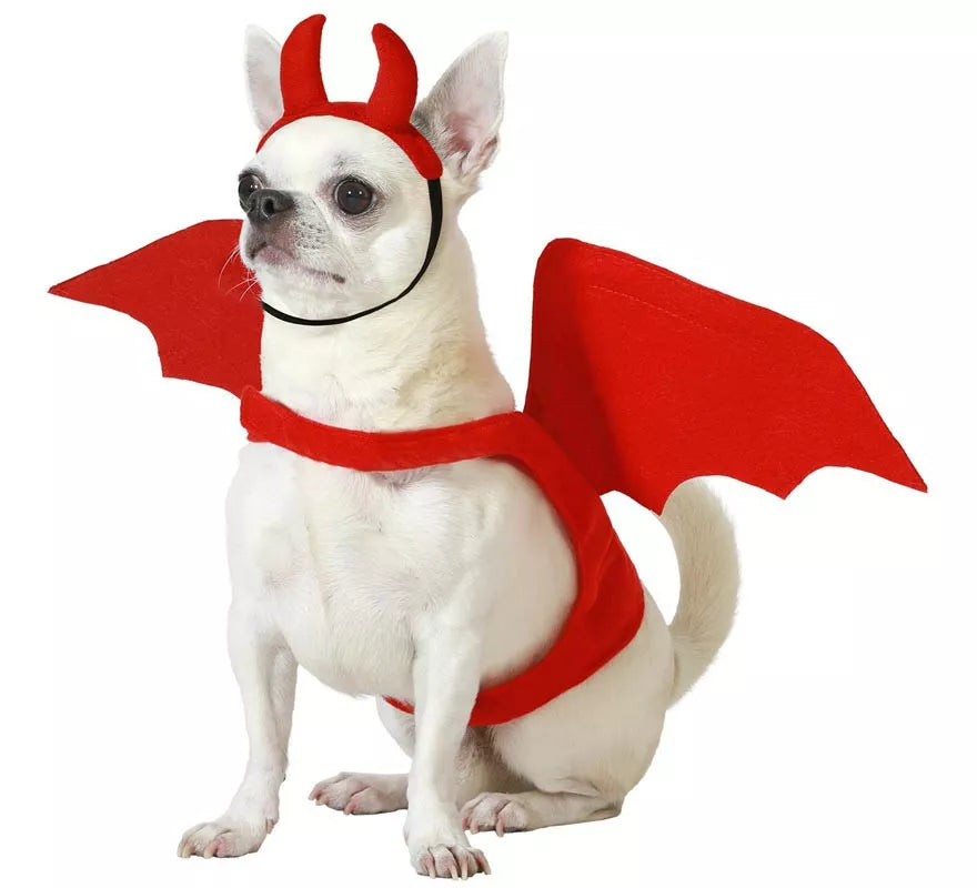 Translation missing: fr.Disfraz de Demonio Alado con cuernos para perro