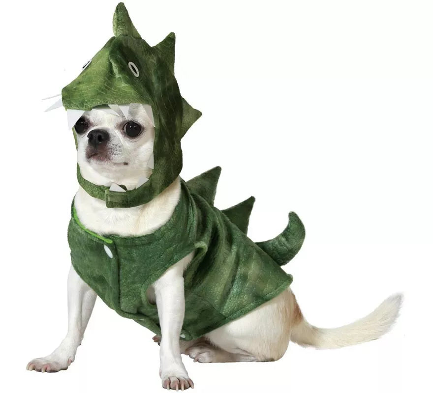 Translation missing: fr.Disfraz de Dinosaurio verde para perro