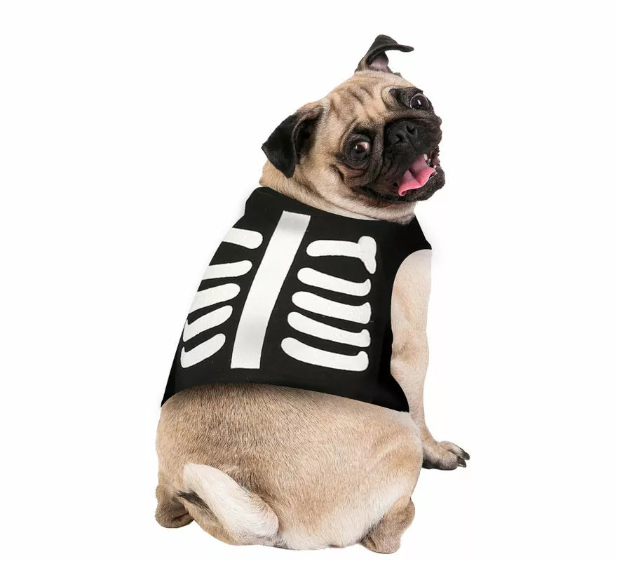 Translation missing: fr.Disfraz de Esqueleto para perro