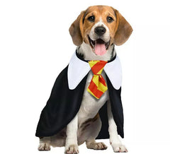 Déguisement de chien étudiant magique