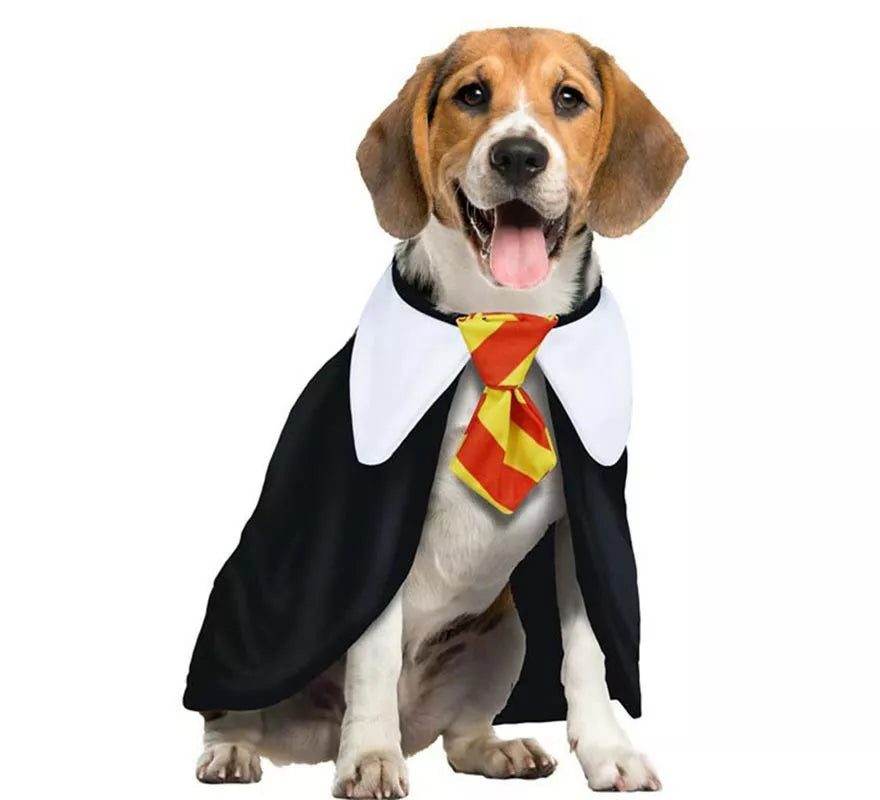 Translation missing: fr.Disfraz de Estudiante de Magia para perro